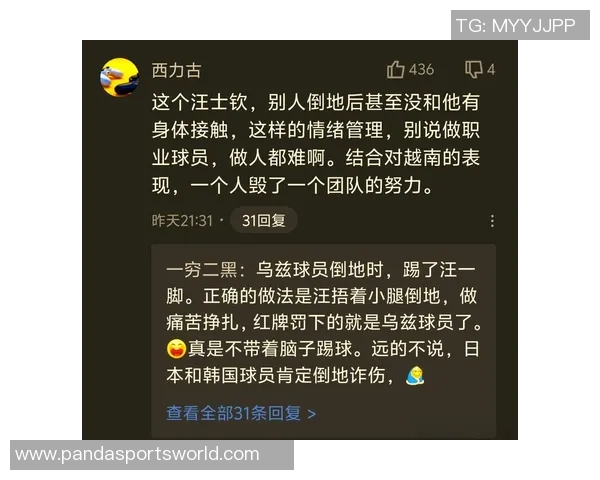 热议汪士钦直红事件：球场上脑残式申请红牌的背后原因分析