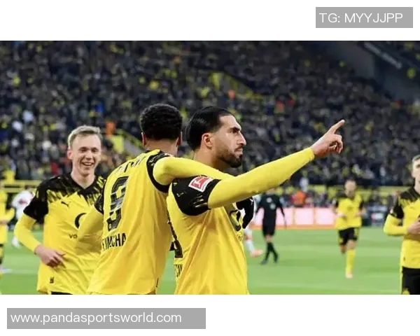 多特蒙德与沃尔夫斯堡争夺图卢兹后卫克雷斯维尔补强中卫阵容